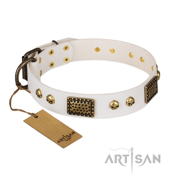 Durable buckle on basic training dog collar