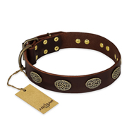 "Chocolate kiss" FDT Artisan Leather Pitbull Collar with Old Bronze Look Oval Plates