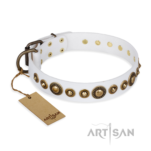 Top notch genuine leather collar crafted for your doggie