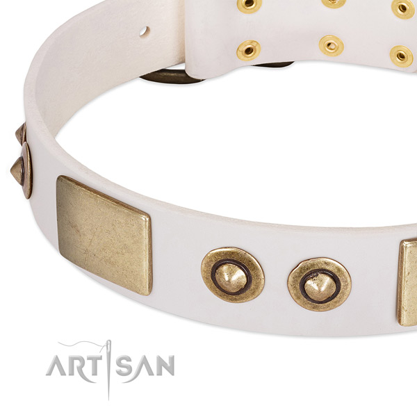 Corrosion proof buckle on genuine leather dog collar for your dog