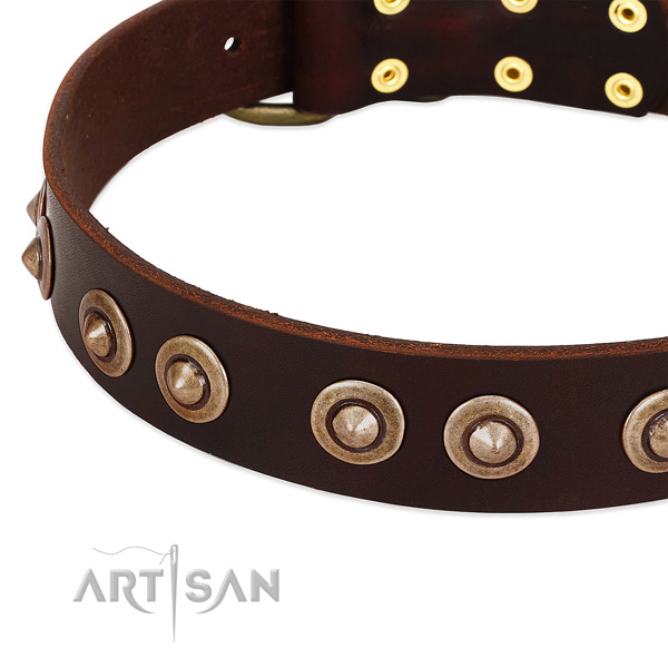Corrosion resistant traditional buckle on full grain genuine leather dog collar for your dog