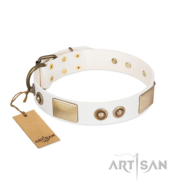 Corrosion proof adornments on full grain natural leather dog collar for your pet