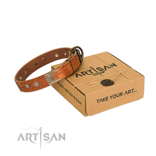 Corrosion proof D-ring on dog collar for everyday use