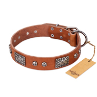 "Sparkling Skull" FDT Artisan Tan Leather Pitbull Collar with Old Silver Look Plates and Skulls