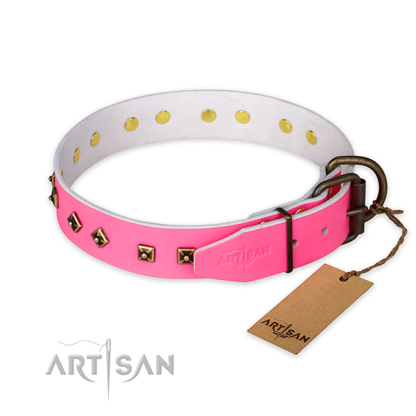Durable traditional buckle on full grain natural leather collar for everyday walking your doggie