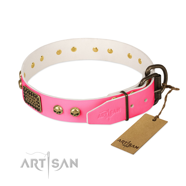 Rust resistant buckle on daily walking dog collar