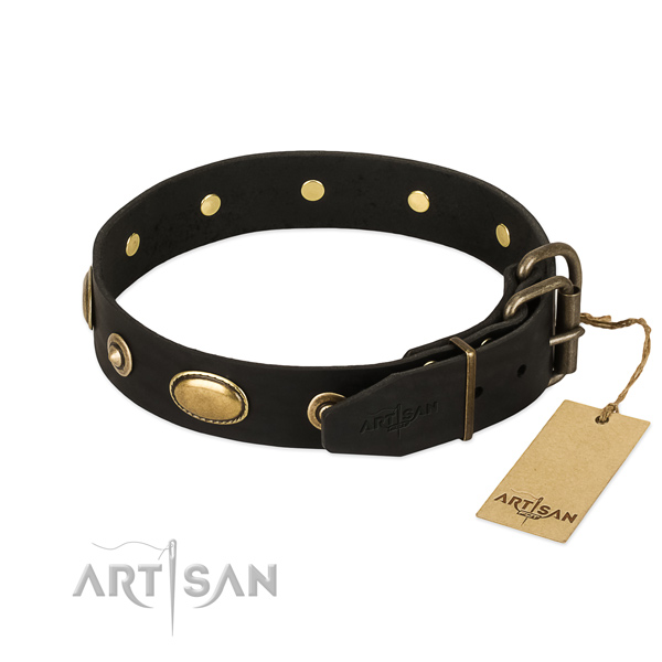 Durable decorations on full grain genuine leather dog collar for your dog