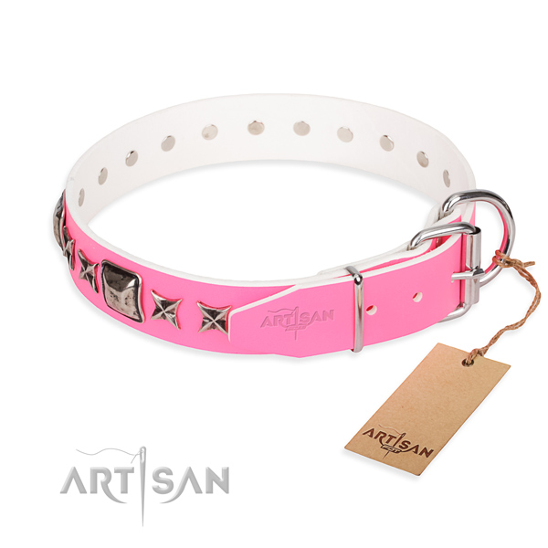 Quality adorned dog collar of full grain natural leather