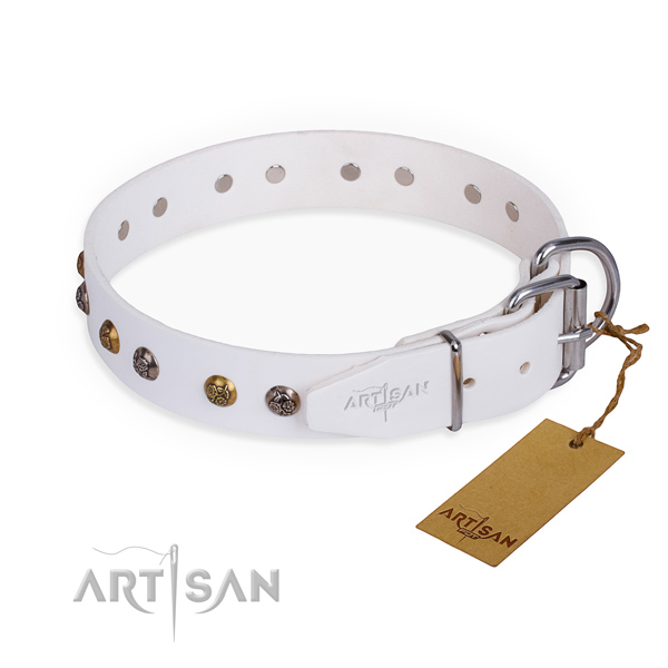 Full grain leather dog collar with trendy rust resistant adornments