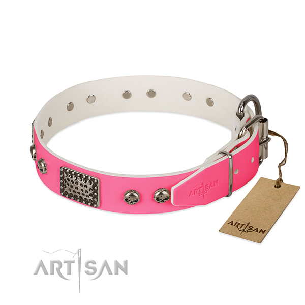 Corrosion proof decorations on daily walking dog collar