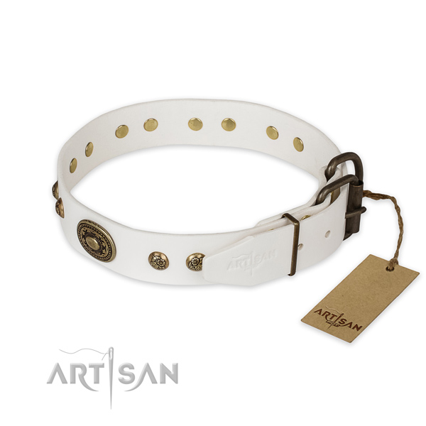 Reliable buckle on full grain leather collar for walking your pet