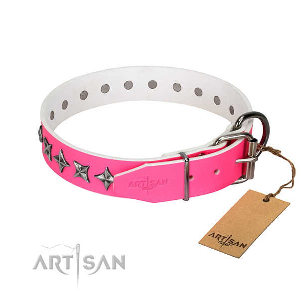 Strong genuine leather dog collar with remarkable studs