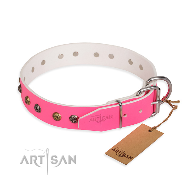 Natural leather dog collar with exceptional strong decorations