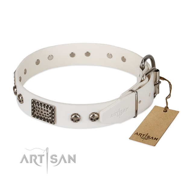 Strong hardware on walking dog collar