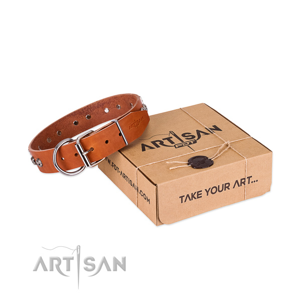Reliable D-ring on dog collar for everyday walking