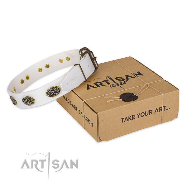 Corrosion proof hardware on leather collar for your handsome canine