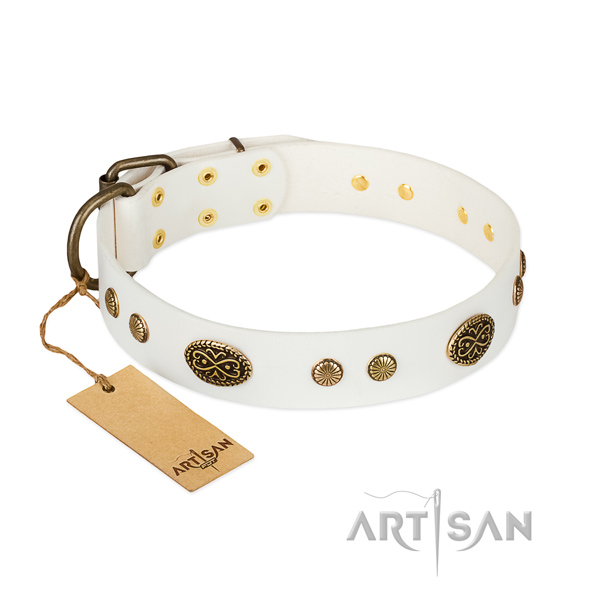Strong decorations on full grain leather dog collar for your canine