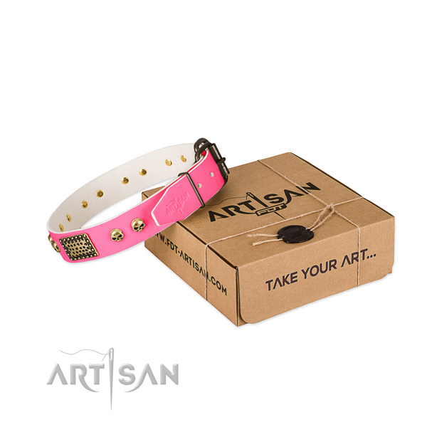 Corrosion proof adornments on dog collar for daily walking