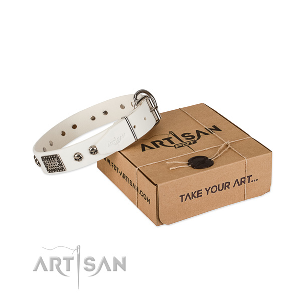 Rust-proof D-ring on dog collar for daily walking