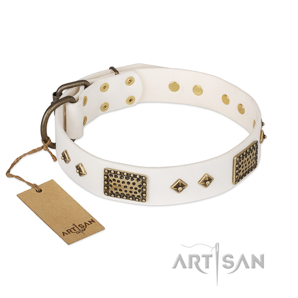 Impressive full grain natural leather dog collar for everyday use