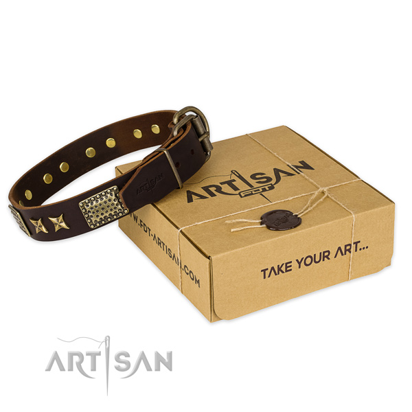 Corrosion resistant hardware on leather collar for your beautiful doggie