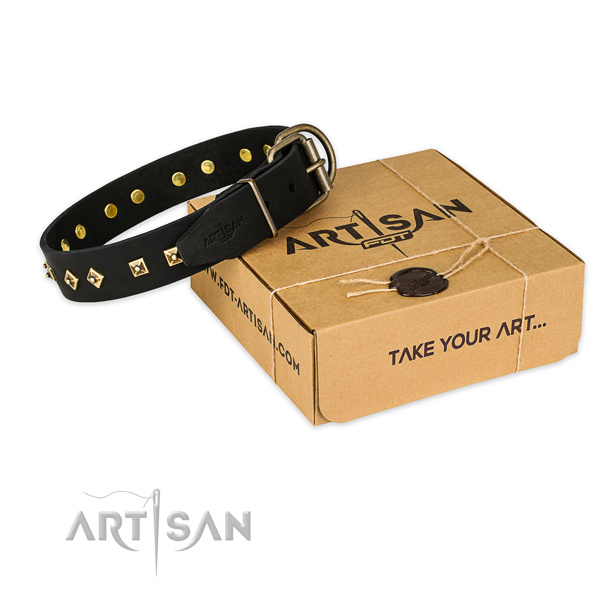 Corrosion proof hardware on leather collar for your handsome canine