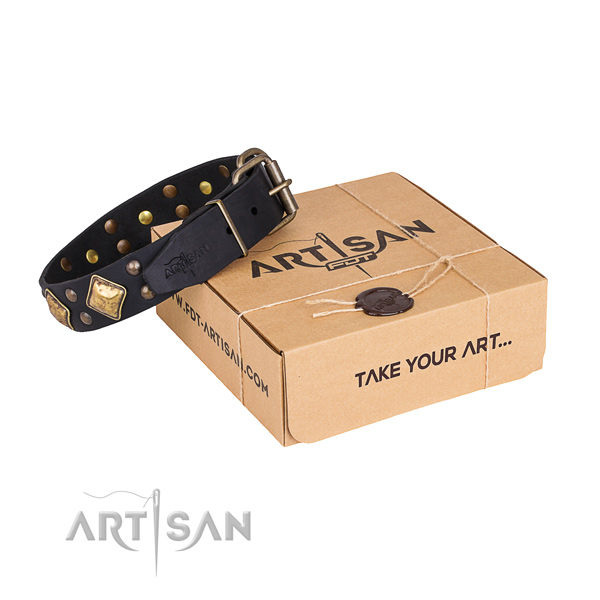Stylish walking dog collar with Stylish design reliable studs