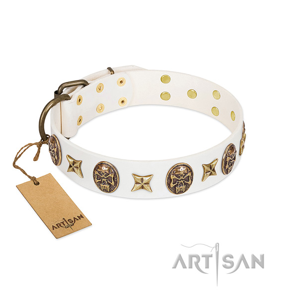 Embellished leather dog collar for daily walking