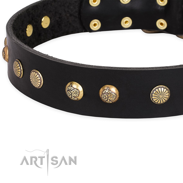 Full grain leather collar with strong hardware for your beautiful dog