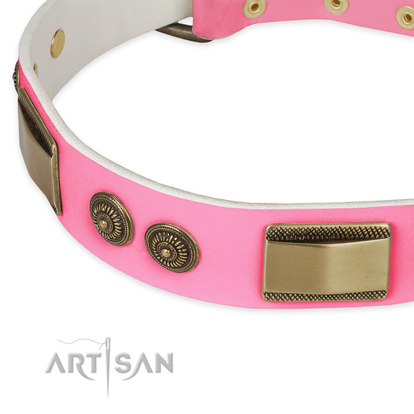 Natural genuine leather dog collar with adornments for everyday walking
