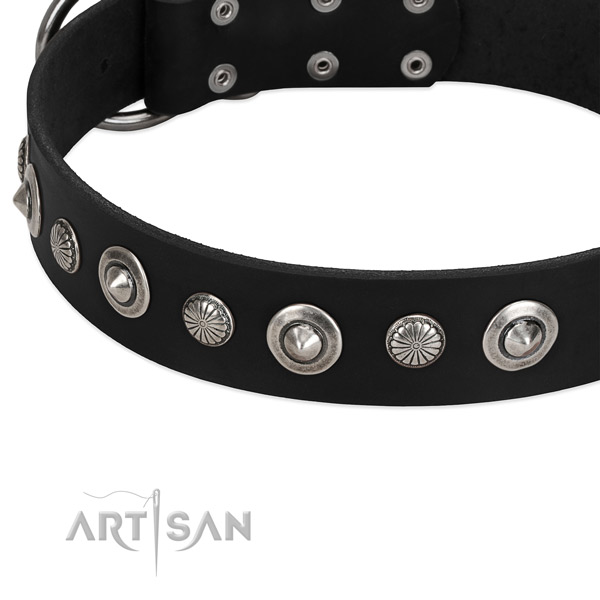 Stylish adorned dog collar of best quality full grain natural leather