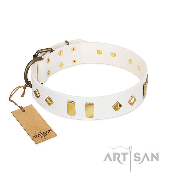 Walking gentle to touch genuine leather dog collar with embellishments