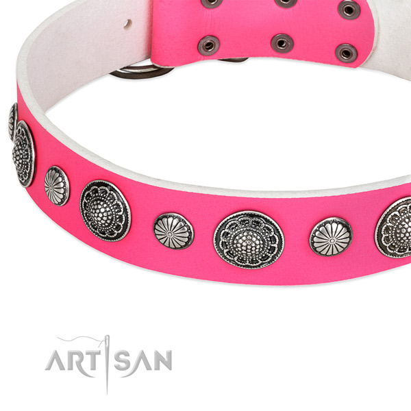 Full grain leather collar with rust-proof traditional buckle for your lovely doggie
