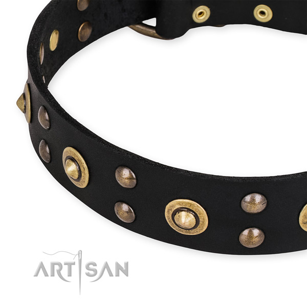 Full grain genuine leather collar with rust resistant buckle for your beautiful canine