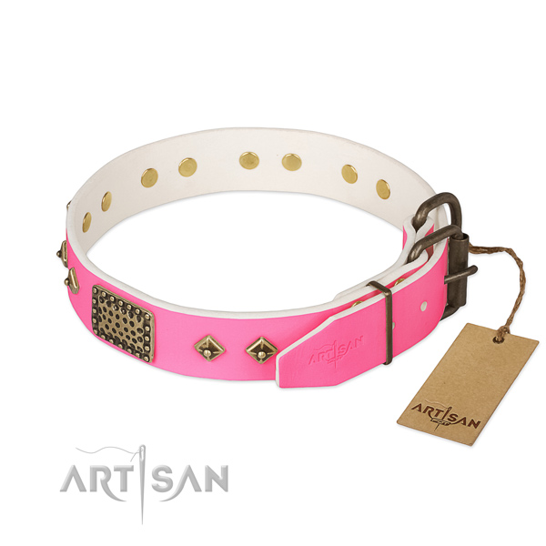 Rust resistant adornments on daily use dog collar