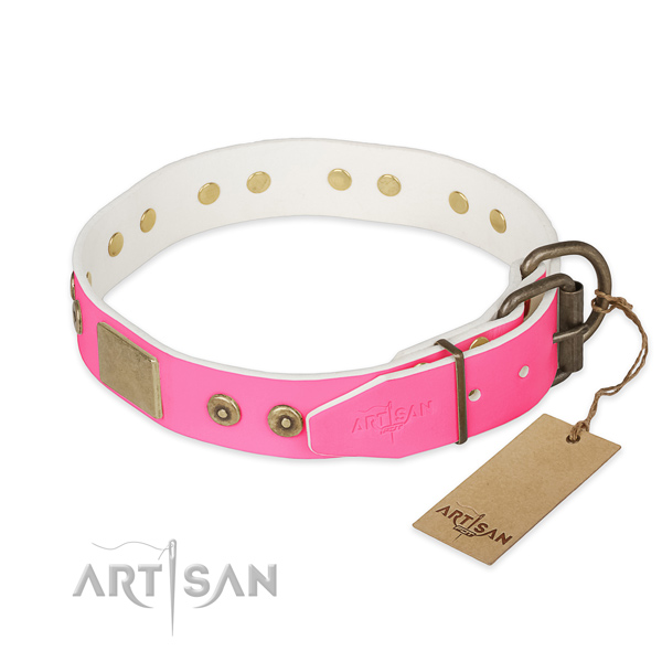 Durable buckle on walking dog collar