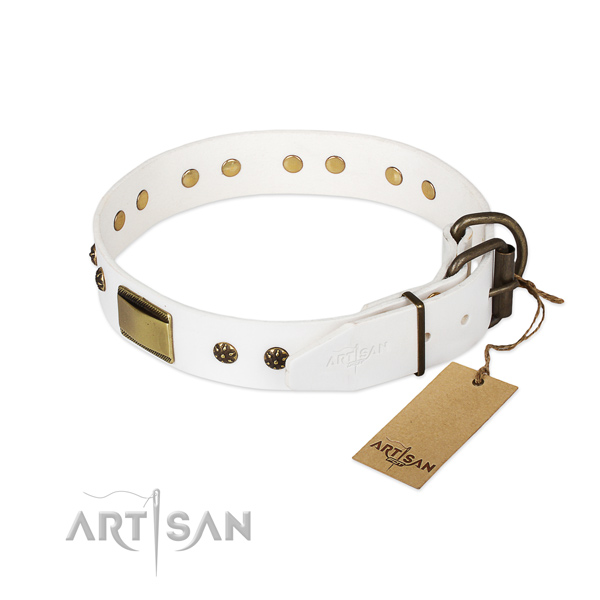 Full grain leather dog collar with strong hardware and adornments