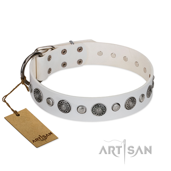 Strong full grain genuine leather dog collar with rust resistant D-ring