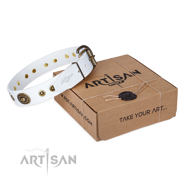 Genuine leather dog collar made of gentle to touch material with rust-proof traditional buckle