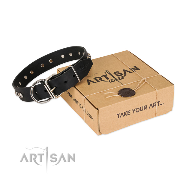 Rust resistant buckle on dog collar for comfy wearing