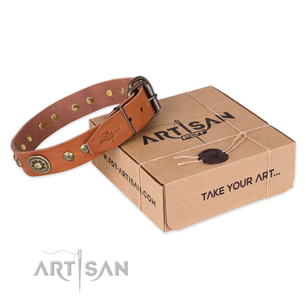 Corrosion proof fittings on leather dog collar for daily walking