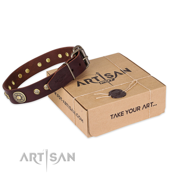 Reliable buckle on genuine leather dog collar for daily use