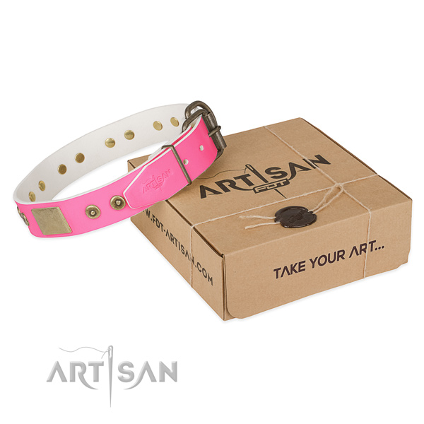 Rust resistant adornments on dog collar for everyday walking