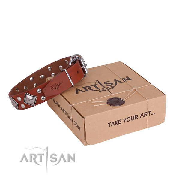 Handy use dog collar with Exceptional rust resistant studs