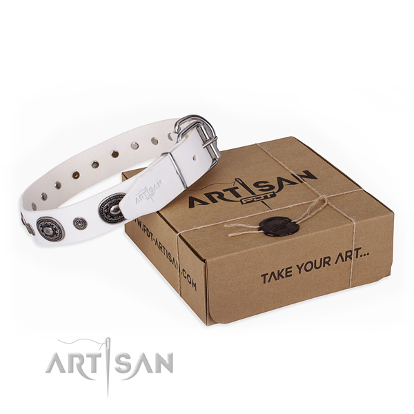 Best quality full grain natural leather dog collar created for daily use