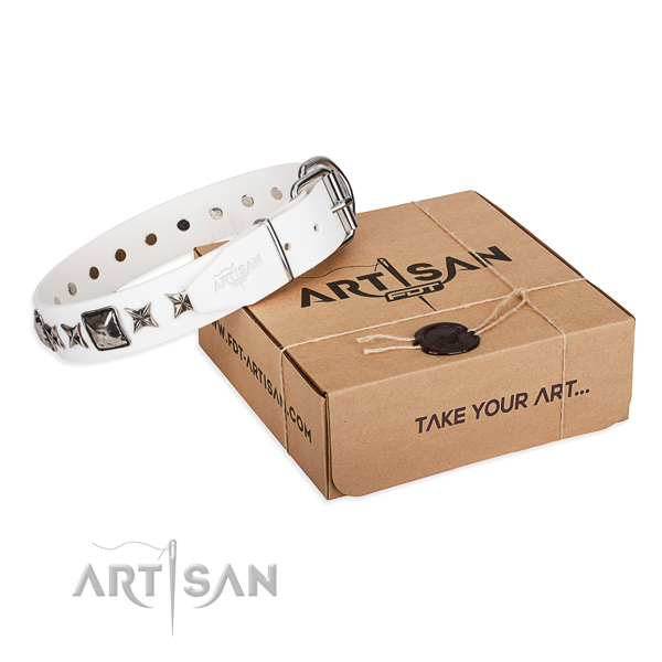 Everyday walking full grain leather dog collar with embellishments
