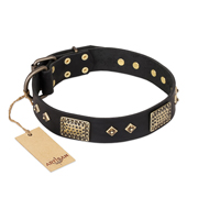 "Jewel Passion" FDT Artisan Fashionable Black Leather Pitbull Collar