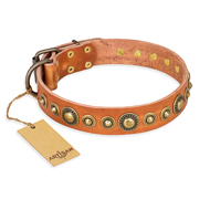 "Feast of Luxury" FDT Artisan Tan Leather Pitbull Collar with Old Bronze Look Circles