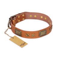 "Cosmic Traveller" FDT Artisan Adorned Leather Pitbull Collar with Old Bronze-Plated Stars and Plates