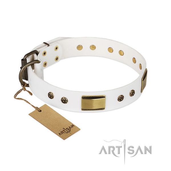 Unique leather collar for your dog